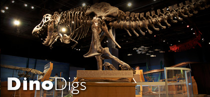 Orlando science center discount coupon